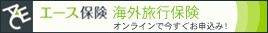 �G�[�X�ی��@�C�O���s�ی�